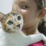 VetMóvel faz atendimentos gratuitos para cães e gatos no Nova Metrópole