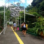 Viva o Parque leva atividades lúdicas ao Parque Botânico do Ceará