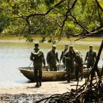 Caucaia terá monitoramento de espécies marinhas atingidas por manchas