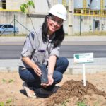 Funcionários da CSP realizam plantio de 115 árvores