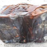 Mistério revelado: pacotes encontrados no litoral de Caucaia são fardos de borracha