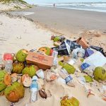 Ação voluntária realiza limpeza na praia da Tabuba