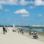Semana do Meio Ambiente é encerrada com limpeza de praia no Pecém