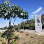 Parque Botânico do Ceará retorna parcialmente e somente para atividades individuais