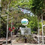 “Viva o Parque” excepcionalmente acontece neste sábado (14) no Parque Botânico do Ceará