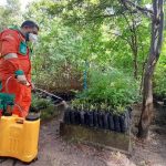 Parque Botânico faz monitoramento de plantas com uso de inseticidas naturais