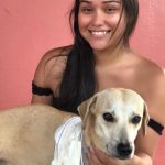 Cão atropelado no Icaraí ganha novo lar, após moradores criarem vaquinha para pagar tratamento