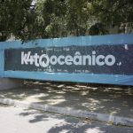Kite for the Ocean Summit traz ao Cumbuco nomes da ONU e diversas empresas globais para discutir oceano e clima