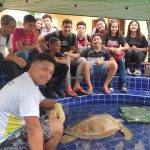 Caucaia leva alunos de escola municipal para aula de educação ambiental com tartaruga marinha