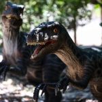 Em Caucaia Parque dos dinossauros tem réplicas em tamanho real e trilha pela floresta