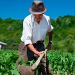 Beneficiários do Garantia-Safra podem retirar boletos de adesão ao programa a partir desta segunda-feira (10)