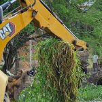 640 toneladas de lixo são recolhidas no canal do São Miguel, em Caucaia