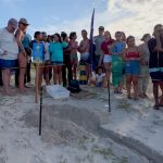 Alunos da rede municipal de Caucaia acompanham nascimento de 103 tartarugas marinhas