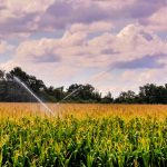 Vantagens de combinar energia solar e técnicas de irrigação sustentável