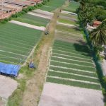 Apoio ao campo impulsiona agricultura e promove inclusão produtiva em Caucaia