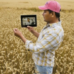 Acesso à internet nas áreas rurais dispara 150% em oito anos e alcança 84,8% da população