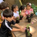 Projeto de educação ambiental de Caucaia é apresentado em evento nacional do Ministério do Meio Ambiente