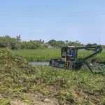 Caucaia utiliza pela primeira vez no Nordeste trator aquático para intensificar limpeza da Lagoa do Tabapuá