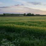 ‘Dia de Campo’ leva capacitação e serviços para produtores rurais de Várzea do Meio