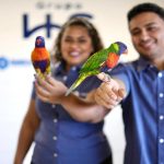 DNE Diagnósticos Nordeste humaniza ambiente de trabalho com a presença de animais de estimação