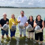 Mais de 100 mil peixes são distribuídos em lagoas e açudes de Caucaia