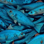 Peixamento com 100 mil alevinos será realizado em lagoas e açudes de Caucaia nesta quinta (22)