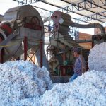 Transnordestina reduzirá custos e abrirá novos mercados para produtores do Cariri