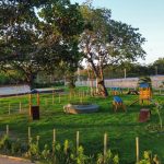 Terra Brasilis entrega Vila Verde e inicia consolidação do bairro planejado Boulevard da Terra