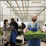 15% das patentes em biotecnologia do Brasil partem das universidades federais do Nordeste