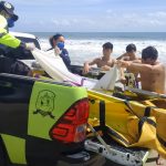 Baleia cachalote-anã encontrada na Praia do Cumbuco é transportada para Sesc Iparana