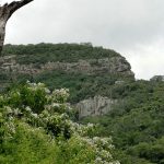 Associação Caatinga avança na criação e ampliação de seis unidades de conservação no Ceará