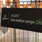 Sam’s Club Fortaleza Papicu recebe campanha de adoção responsável de pets