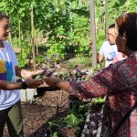 Ecoinec abre inscrições para oficinas gratuitas de agroecologia urbana e sustentabilidade voltadas para crianças e adolescentes em Fortaleza