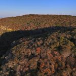 Reserva Natural Serra das Almas completa 26 anos como referência na conservação da Caatinga